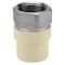 Apollo 1 in. x 1 in. CPVC CTS Slip Stainless Steel FPT Adapter CPVCFA1 - alternate 1